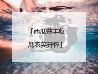 西瓜获丰收 瓜农笑开怀