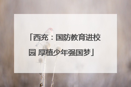 西充：国防教育进校园 厚植少年强国梦