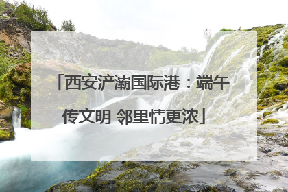 西安浐灞国际港：端午传文明 邻里情更浓