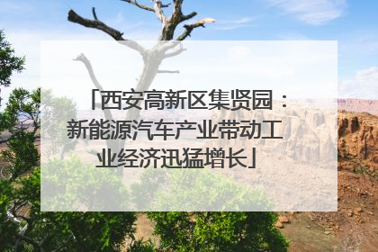 西安高新区集贤园：新能源汽车产业带动工业经济迅猛增长