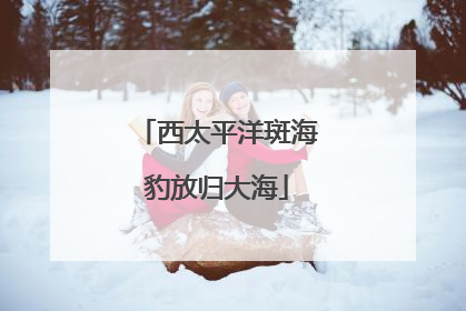 西太平洋斑海豹放归大海
