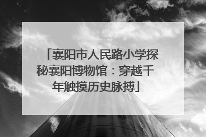 襄阳市人民路小学探秘襄阳博物馆：穿越千年触摸历史脉搏