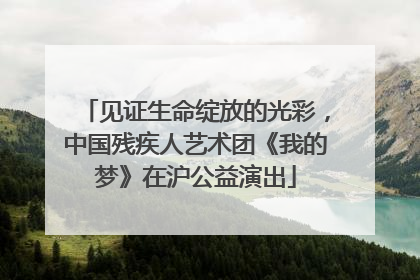 见证生命绽放的光彩，中国残疾人艺术团《我的梦》在沪公益演出