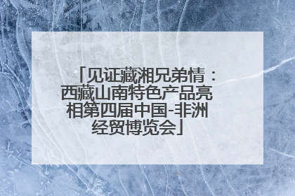 见证藏湘兄弟情：西藏山南特色产品亮相第四届中国-非洲经贸博览会