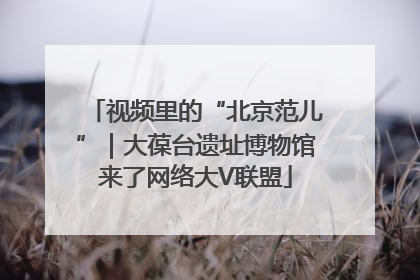 视频里的“北京范儿”｜大葆台遗址博物馆来了网络大V联盟