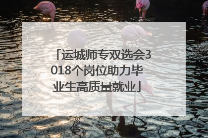 运城师专双选会3018个岗位助力毕业生高质量就业
