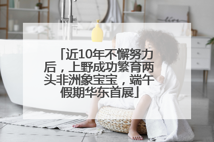 近10年不懈努力后，上野成功繁育两头非洲象宝宝，端午假期华东首展