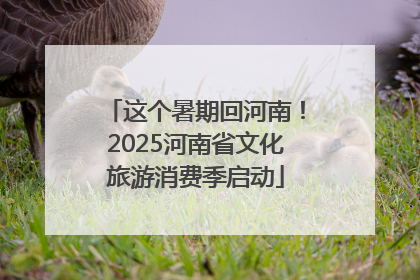 这个暑期回河南！2025河南省文化旅游消费季启动