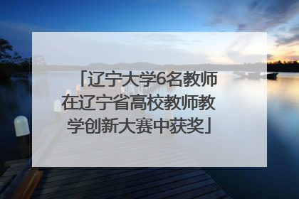 辽宁大学6名教师在辽宁省高校教师教学创新大赛中获奖