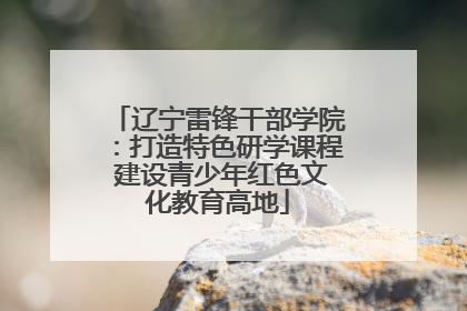 辽宁雷锋干部学院：打造特色研学课程 建设青少年红色文化教育高地
