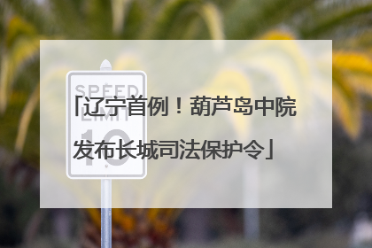 辽宁首例！葫芦岛中院发布长城司法保护令