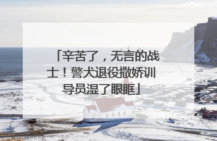 辛苦了，无言的战士！警犬退役撒娇训导员湿了眼眶