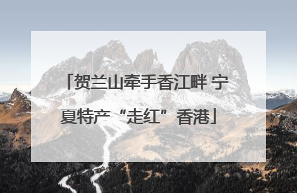 贺兰山牵手香江畔 宁夏特产“走红”香港