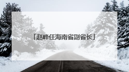 赵峰任海南省副省长