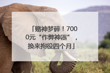 赌神梦碎！7000元“作弊神器”，换来拘役四个月