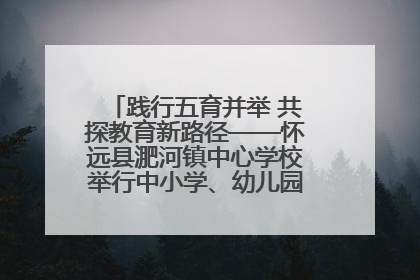 践行五育并举 共探教育新路径——怀远县淝河镇中心学校举行中小学、幼儿园班主任论坛活动