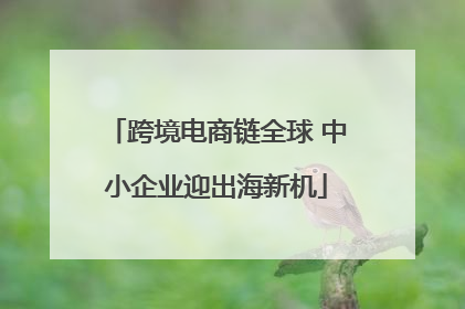 跨境电商链全球 中小企业迎出海新机