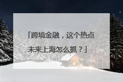 跨境金融，这个热点未来上海怎么抓？