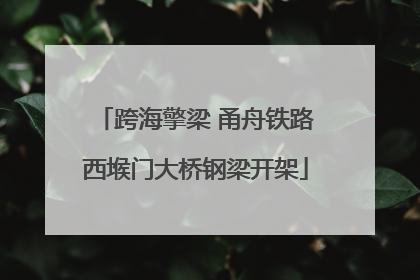 跨海擎梁 甬舟铁路西堠门大桥钢梁开架
