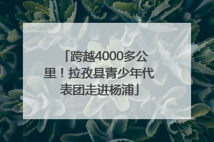 跨越4000多公里！拉孜县青少年代表团走进杨浦