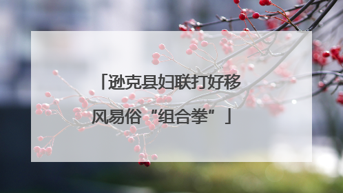 逊克县妇联打好移风易俗“组合拳”