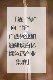 逐“绿”向“新” 广西兴业加速建设百亿绿色钙产业集群