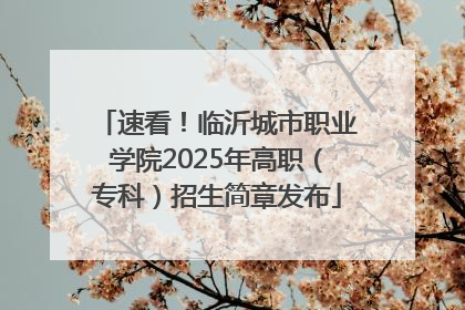 速看！临沂城市职业学院2025年高职（专科）招生简章发布