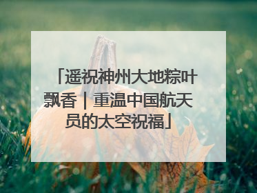 遥祝神州大地粽叶飘香｜重温中国航天员的太空祝福