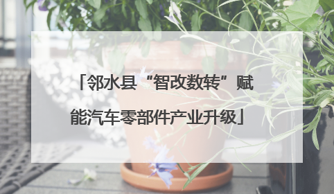 邻水县“智改数转”赋能汽车零部件产业升级
