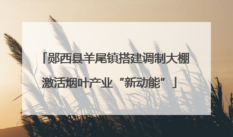 郧西县羊尾镇搭建调制大棚激活烟叶产业“新动能”