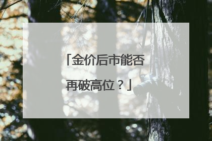 金价后市能否再破高位？