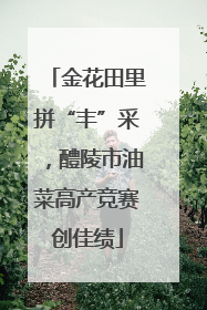 金花田里拼“丰”采，醴陵市油菜高产竞赛创佳绩