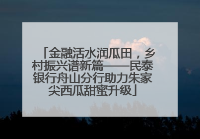 金融活水润瓜田，乡村振兴谱新篇——民泰银行舟山分行助力朱家尖西瓜甜蜜升级