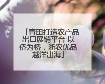 青田打造农产品出口展销平台 以侨为桥，浙农优品越洋出海