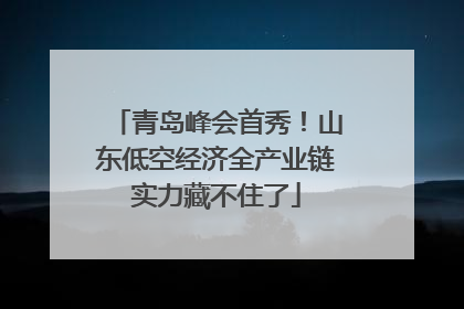 青岛峰会首秀！山东低空经济全产业链实力藏不住了