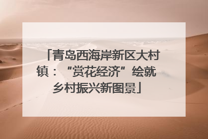 青岛西海岸新区大村镇：“赏花经济”绘就乡村振兴新图景
