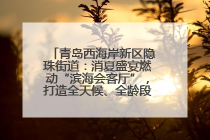 青岛西海岸新区隐珠街道：消夏盛宴燃动“滨海会客厅”，打造全天候、全龄段消费生态圈