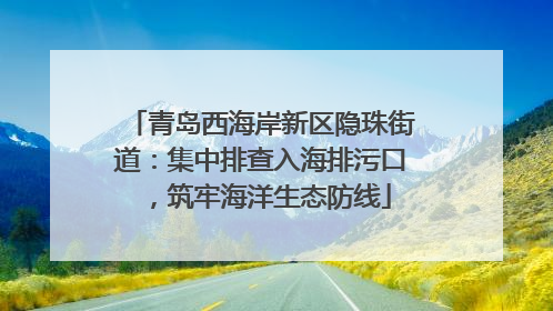 青岛西海岸新区隐珠街道：集中排查入海排污口，筑牢海洋生态防线