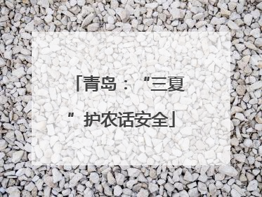 青岛：“三夏”护农话安全