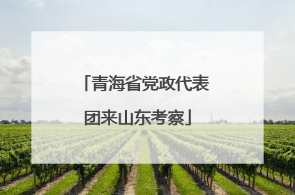 青海省党政代表团来山东考察