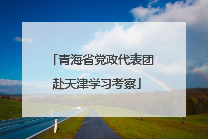青海省党政代表团赴天津学习考察