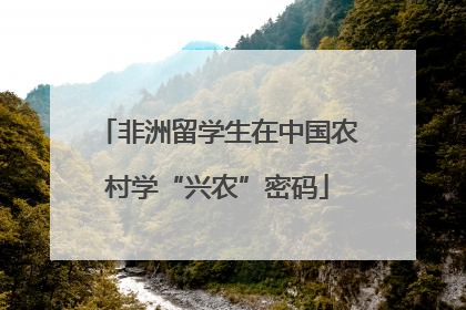 非洲留学生在中国农村学“兴农”密码