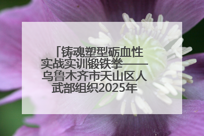 铸魂塑型砺血性 实战实训锻铁拳——乌鲁木齐市天山区人武部组织2025年度民兵集中轮训