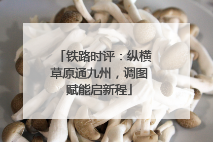 铁路时评：纵横草原通九州，调图赋能启新程