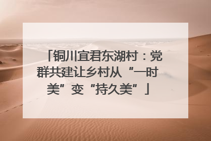 铜川宜君东湖村：党群共建让乡村从“一时美”变“持久美”