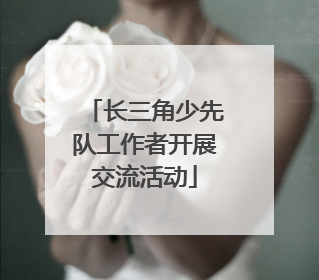 长三角少先队工作者开展交流活动