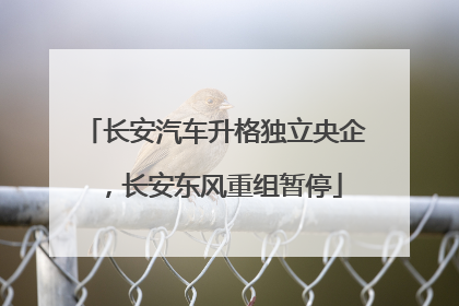 长安汽车升格独立央企，长安东风重组暂停