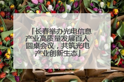 长春举办光电信息产业高质量发展百人圆桌会议，共筑光电产业创新生态