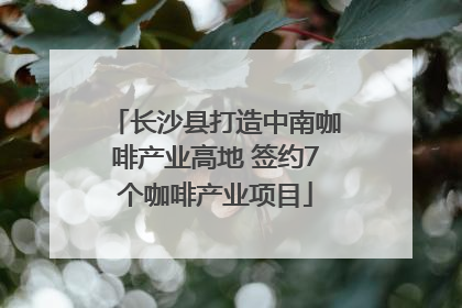 长沙县打造中南咖啡产业高地 签约7个咖啡产业项目