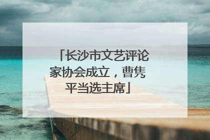 长沙市文艺评论家协会成立，曹隽平当选主席